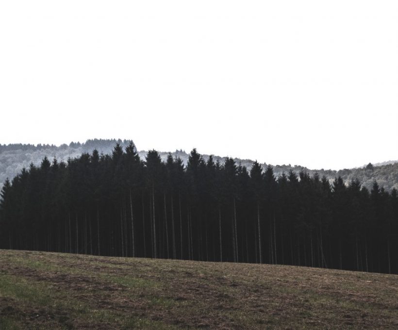 How To Pack A Professional Travel First Aid Kit