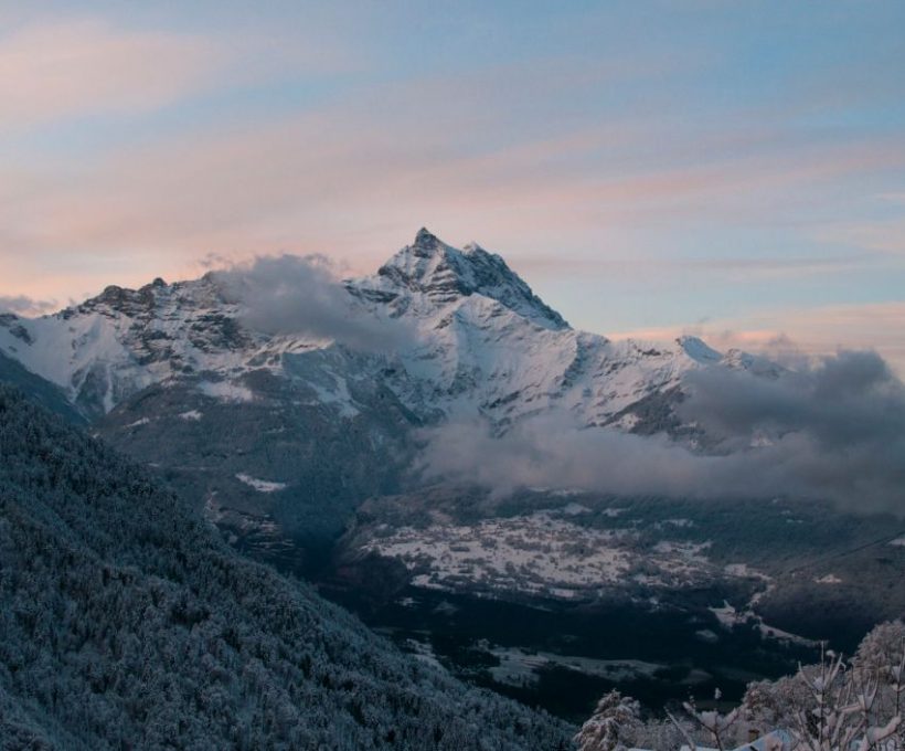 Quos qui tempora consequatur