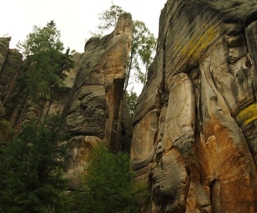 Ut illum blanditiis non provident minus