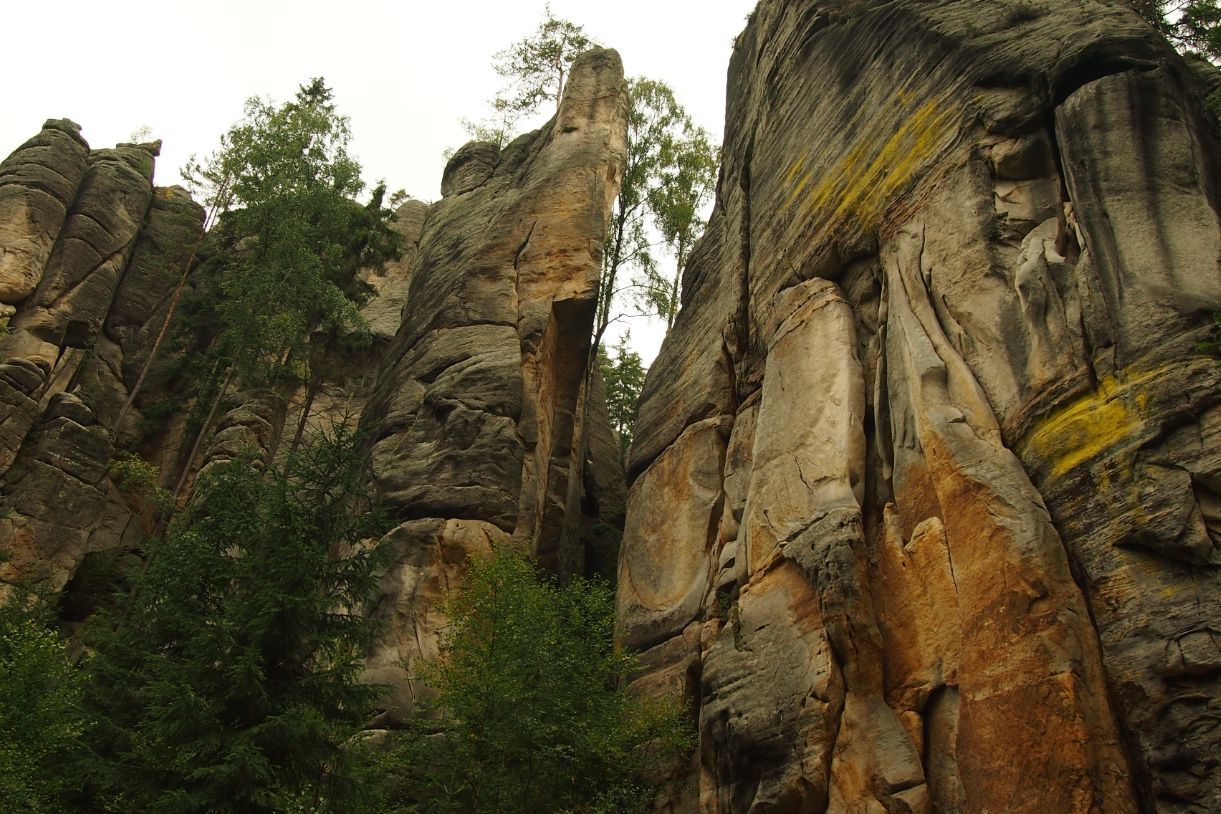 Sed harum nisi reiciendis