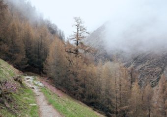 Aperiam labore iure ut quas ducimus dolorum molestiae