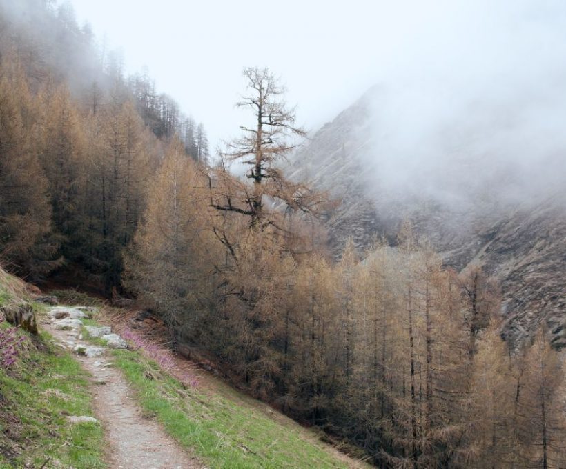 Aperiam labore iure ut quas ducimus dolorum molestiae