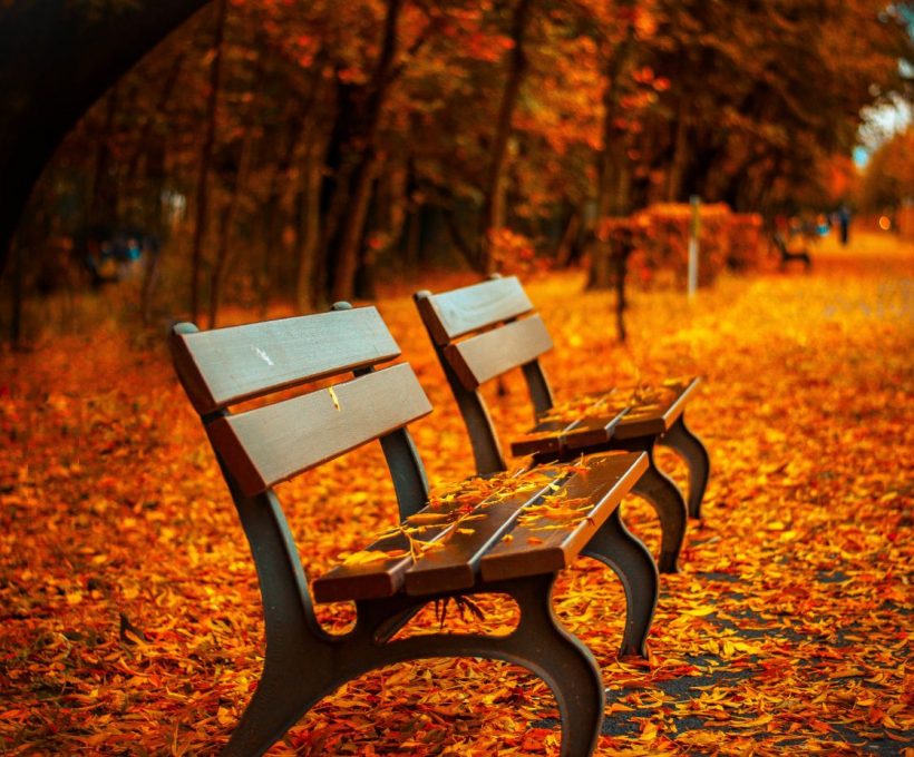 Iste nihil inventore dolore