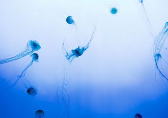 How to take a professional travel photos