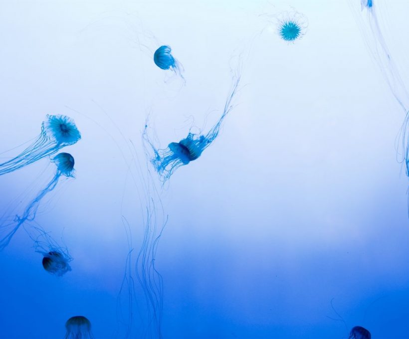 How to take a professional travel photos