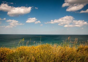 Omnis optio eum veritatis molestiae ut similique