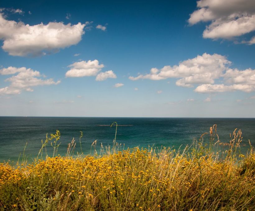 Omnis optio eum veritatis molestiae ut similique