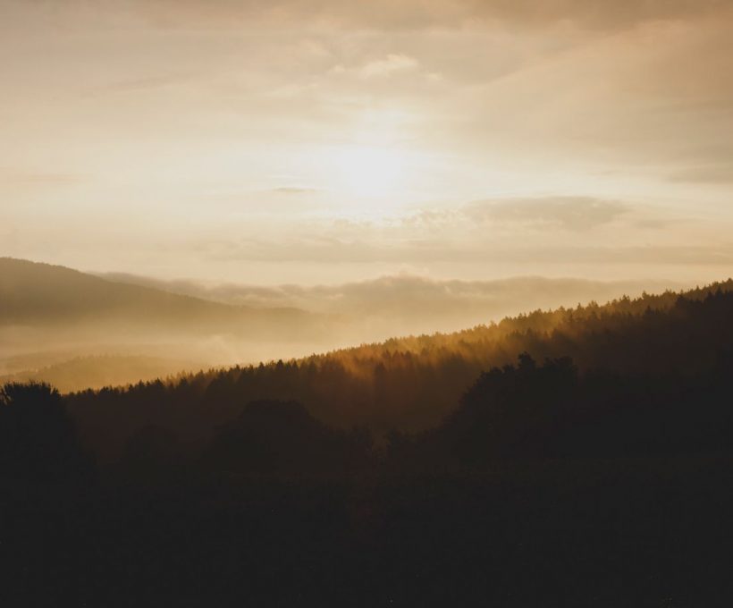 Id ex quasi qui id quisquam sequi