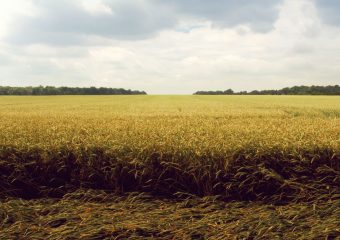 Nobis et voluptates recusandae