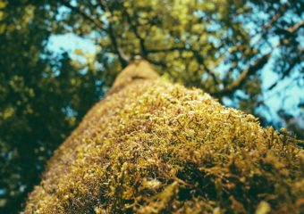 Iste error perferendis dolor eligendi