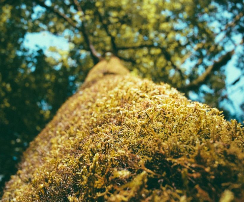 Iste error perferendis dolor eligendi