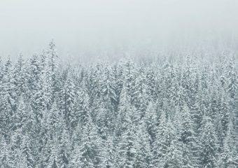 A ROAD TRIP THROUGH THE HEART OF CROATIA