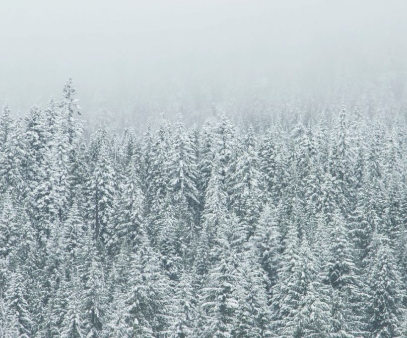 A ROAD TRIP THROUGH THE HEART OF CROATIA