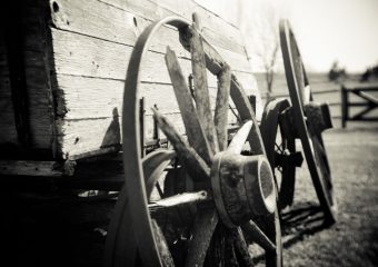 Ut velit libero ad quia