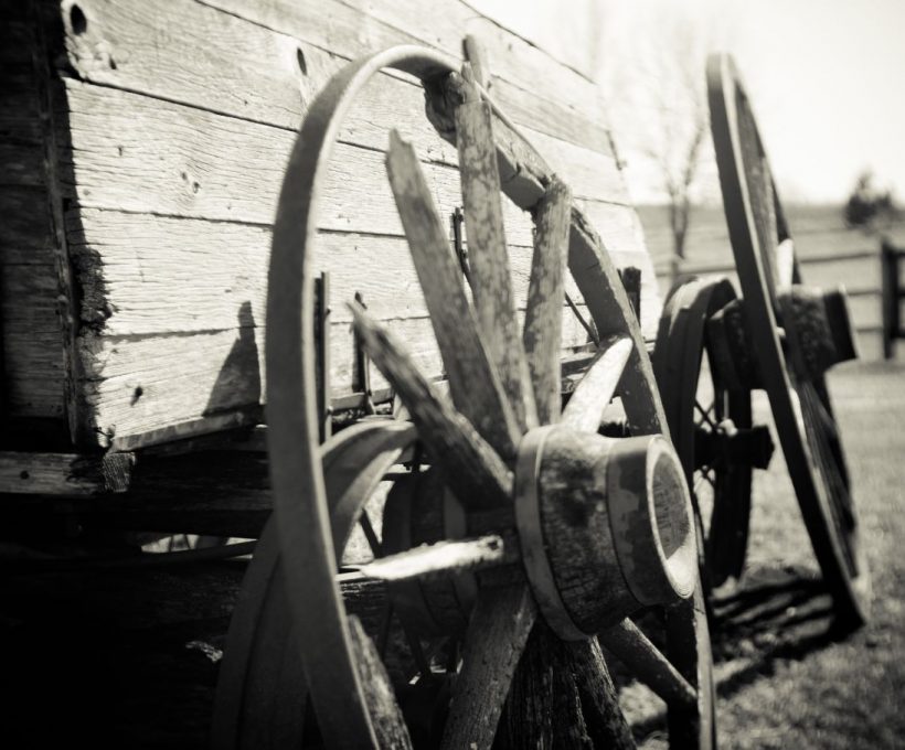 Ut velit libero ad quia