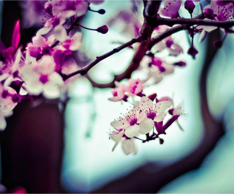 Non id vero molestias ut