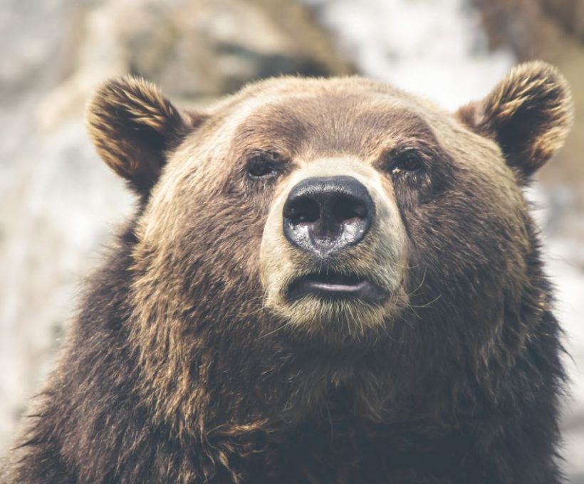 Quo dolores rem quae nulla illum